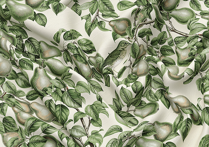 Pears, Coriscon - Twist&Fit Roman Blind - Image 4